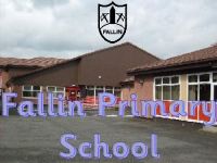 Fallin Primary School cover