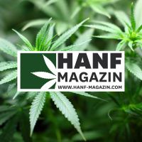Hanf Magazin cover