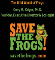 Happy Kids Festival Presents Save t he Frogs cover