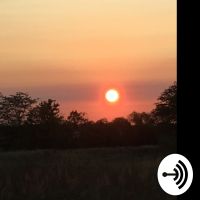 Madison Johnston cover