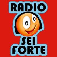 Radio sei Forte...ESTATE IN SCENA! 2014 cover