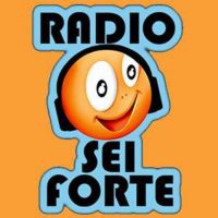 Radio sei Forte...ESTATE IN SCENA! 2016 cover