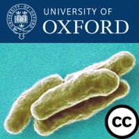 Vaccine Research at Oxford cover