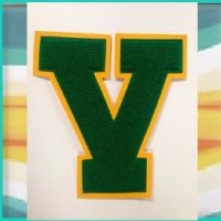Vestal Golden Bears High School Principal's Podcast cover