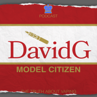 David G Model Citizen cover
