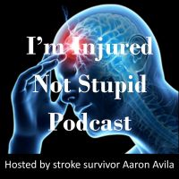 I'm Injured Not Stupid Podcast cover