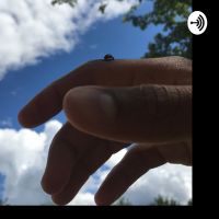 Magnet cover