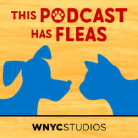 This Podcast Has Fleas cover
