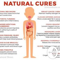Nature Heals the Body cover