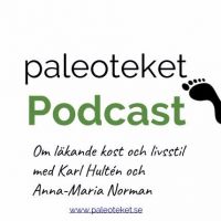 Paleoteket - läkande kost och livsstil cover