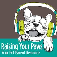 Raising Your Paws- Your resource for dog & cat pet parents cover