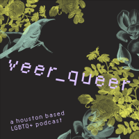 Veer Queer cover