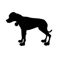 SANE's Black Dog Campaign » Podcasts cover