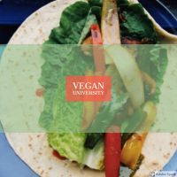 Vegan University cover