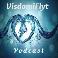 VisdomiFlyt cover