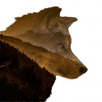 Zero To Alpha cover