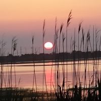 EnviroPolitics Podcast cover