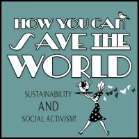 How You Can Save The World: Sustainable Living and Social Activism cover