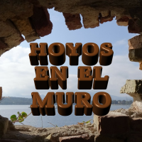 HOYOS EN EL MURO cover