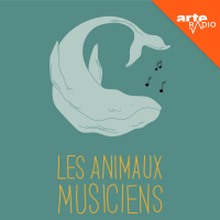 Les animaux musiciens cover