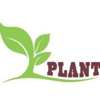 PLANT Voices cover