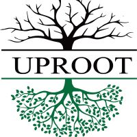 UpRoot on air. cover