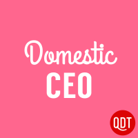 Domestic CEO's Quick & Dirty Tips to Managing Your Home cover