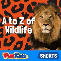 A to Z of Wildlife for Kids cover
