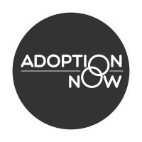 ADOPTION NOW - Telling Your Adoption Story cover