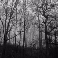 Camp Spooky cover