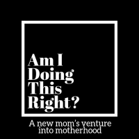 Am I Doing This Right? cover