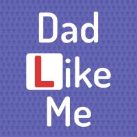 Dad Like Me cover