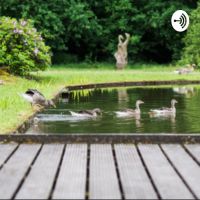 De Bloeiberg Podcasts met Maartje Bergers cover