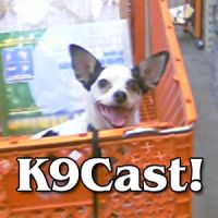 K9Cast with Tara and Walter! cover