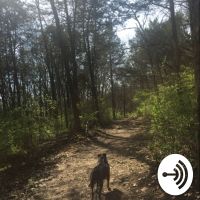 Kayla's new journey cover