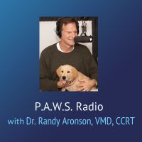 P.A.W.S. Radio – Dr. Randy Aronson, VMD, CCRT cover