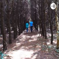 Off The Trail cover
