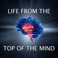 Life from the Top of the Mind cover