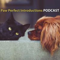 Paw Perfect Introductions cover