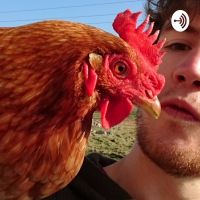 Talking Hens cover