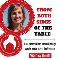 Views From Both Sides of the Table: Special Needs| Parenting| Education cover