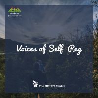 Voices of Self-Reg cover