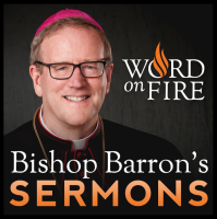 Bishop Robert Barron’s Sermons - Catholic Preaching and Homilies cover