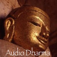 Audio Dharma cover