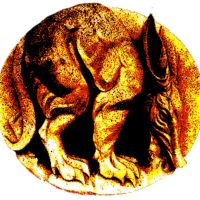 Aardvark Records cover
