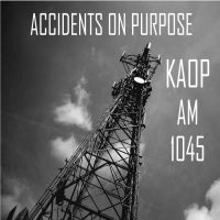 Accidents On Purpose cover