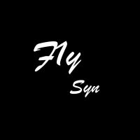 F1y Syn FM Now! cover