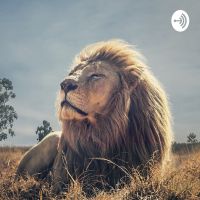 DaJungle Podcast cover