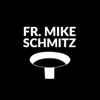 The Fr. Mike Schmitz Catholic Podcast cover