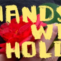 Hands We Hold (Acoustic) cover